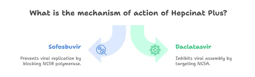 Hepcinat Plus: Composition: Sofosbuvir + Daclatasvir