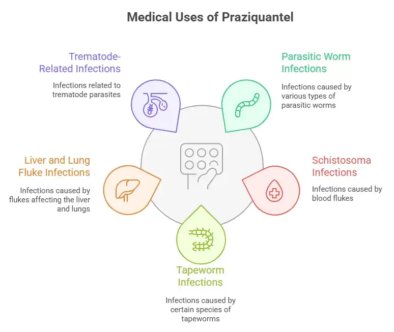 Medical Uses of Praziquantel