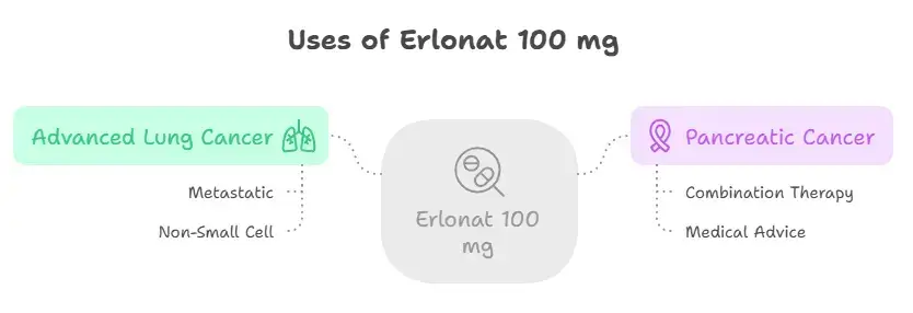 Uses of Erlonat 100 mg
