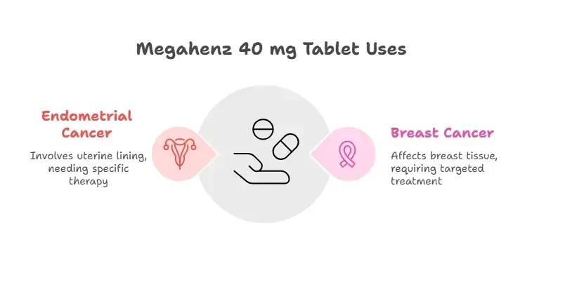 Uses of Megahenz 40 mg Tablets 