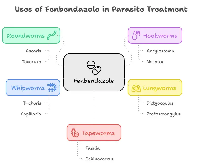 Uses of Fenbendazole 