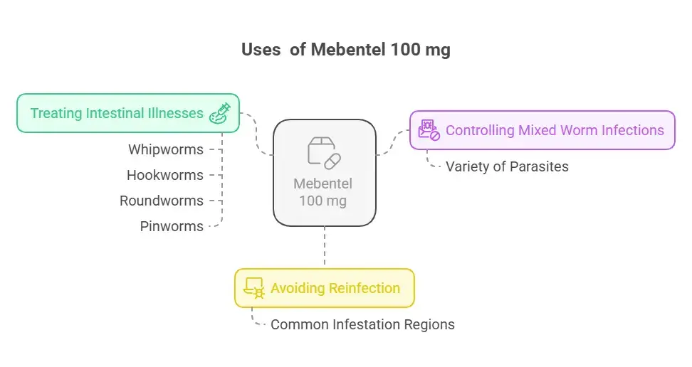 Uses  of Mebentel 100 mg