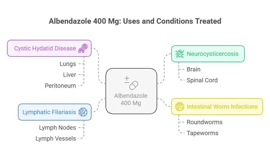 Use of Albendazole 400 Mg tablets