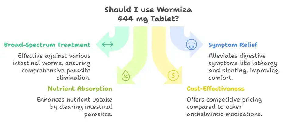 Benefits of Wormiza 444 mg Tablet 