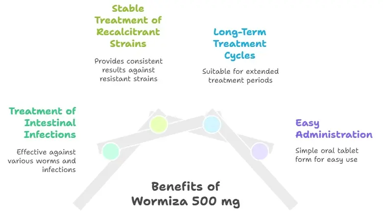 Uses & Benefits of Wormiza 500 mg Tablet 