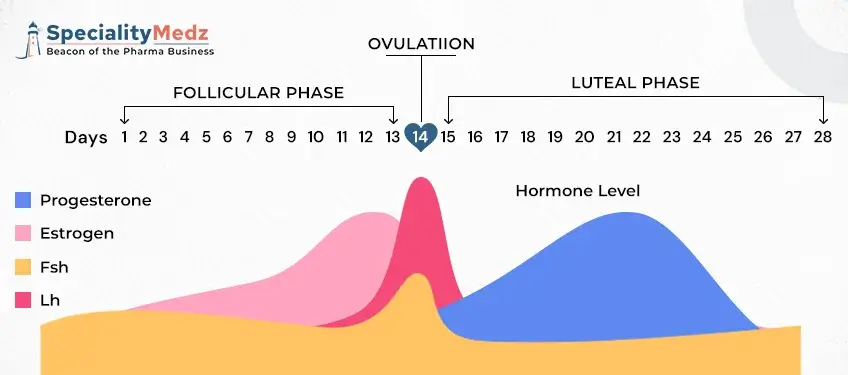 ovulation Day - Specialitymedz